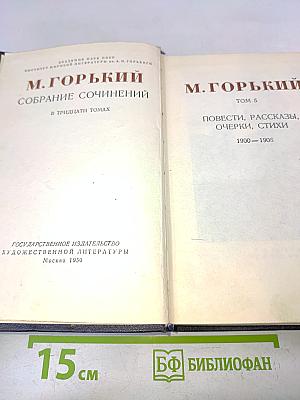 Собрание сочинений. Том 5. Повести, рассказы, очерки, стихи. 1900-1906