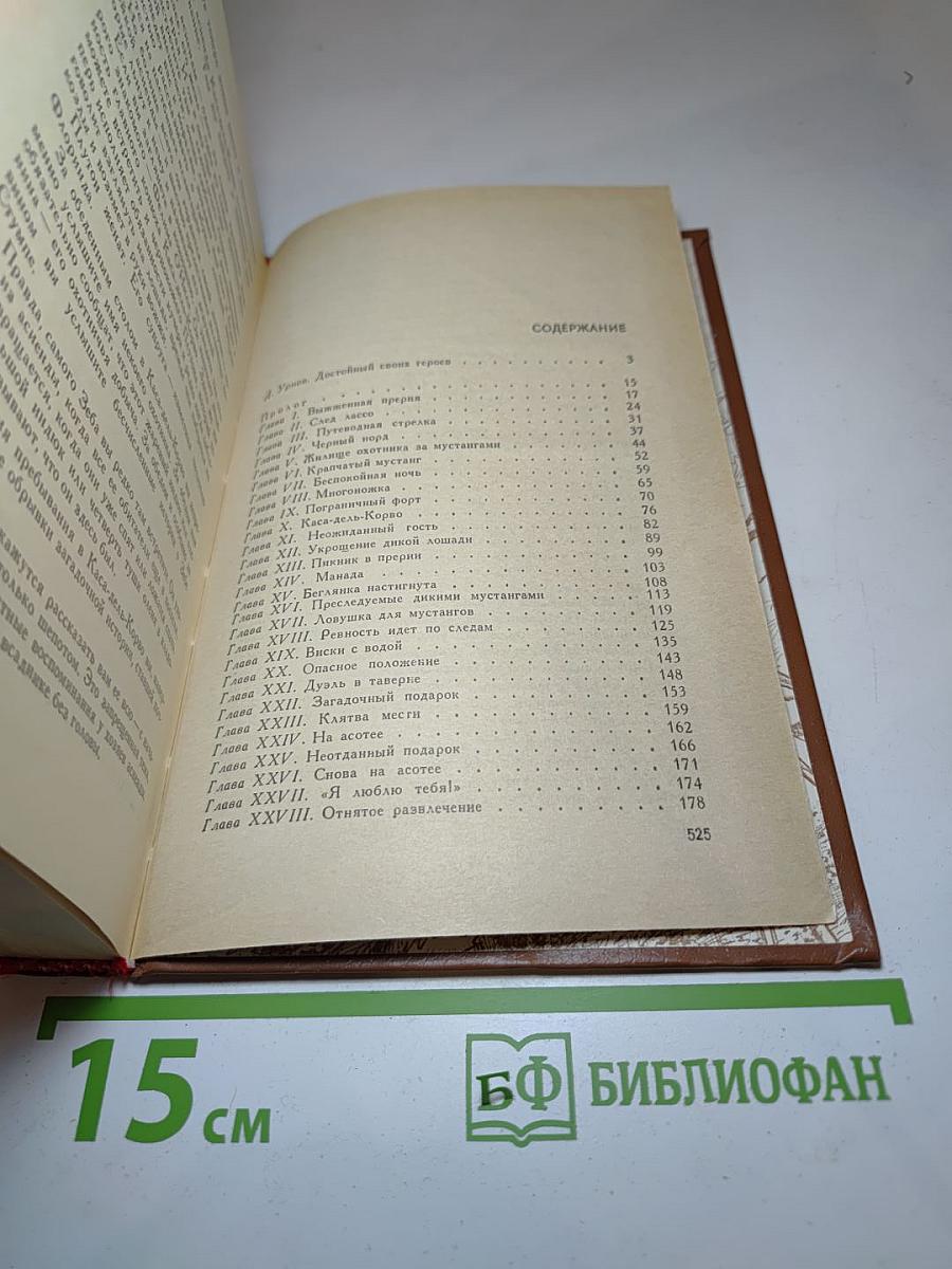 Всадник без головы