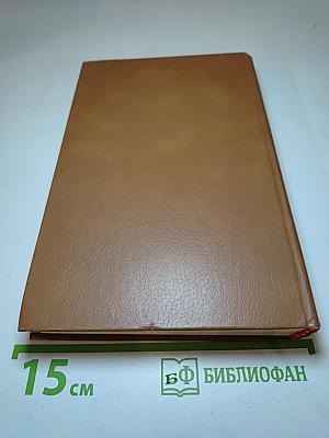 Всадник без головы