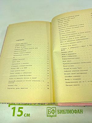 Кибернетическая смесь