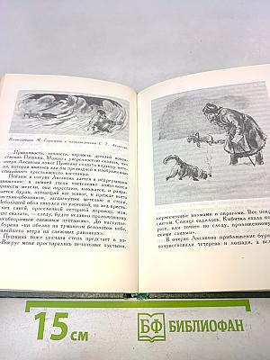 С.Т. Аксаков в кругу писателей-классиков