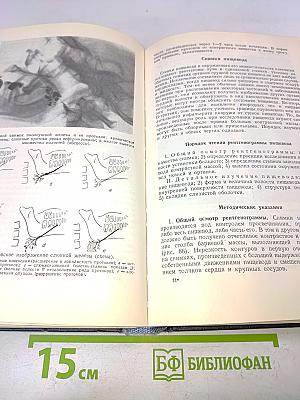 Методика чтения рентгеновских снимков