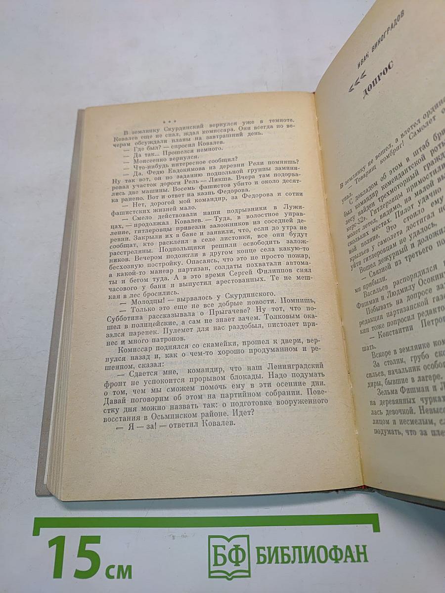 Розы на снегу