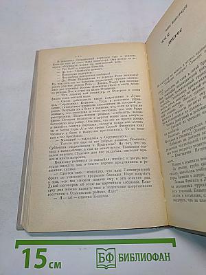Розы на снегу
