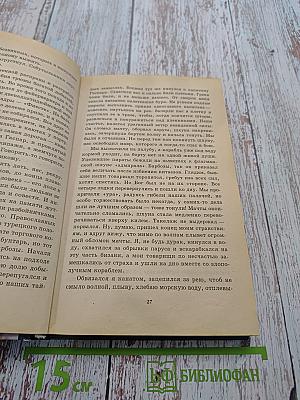 Пиратские войны. Одиссея полковника Строганова. Книга вторая