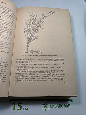 Лекарственные растения и их применение