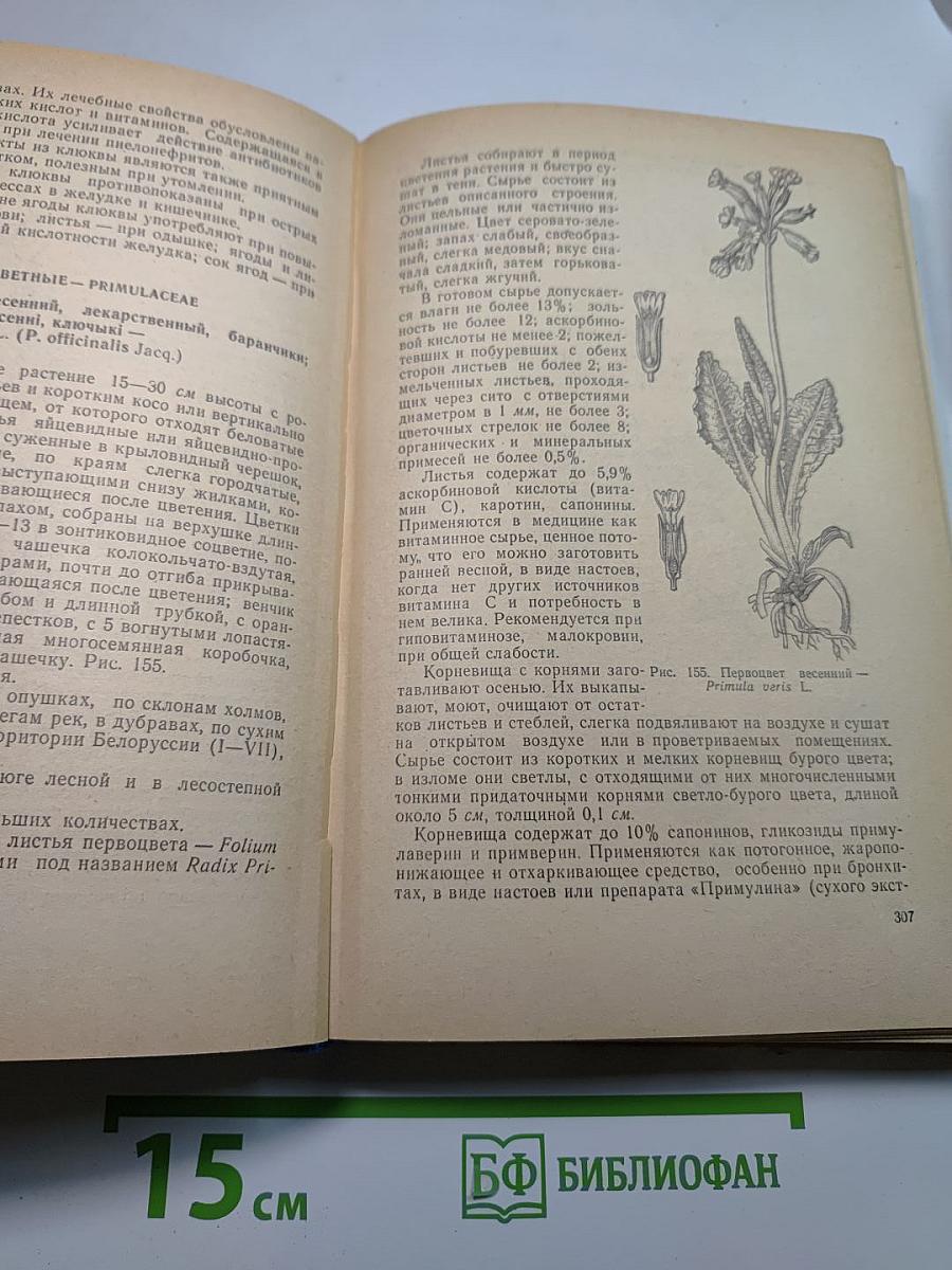 Лекарственные растения и их применение