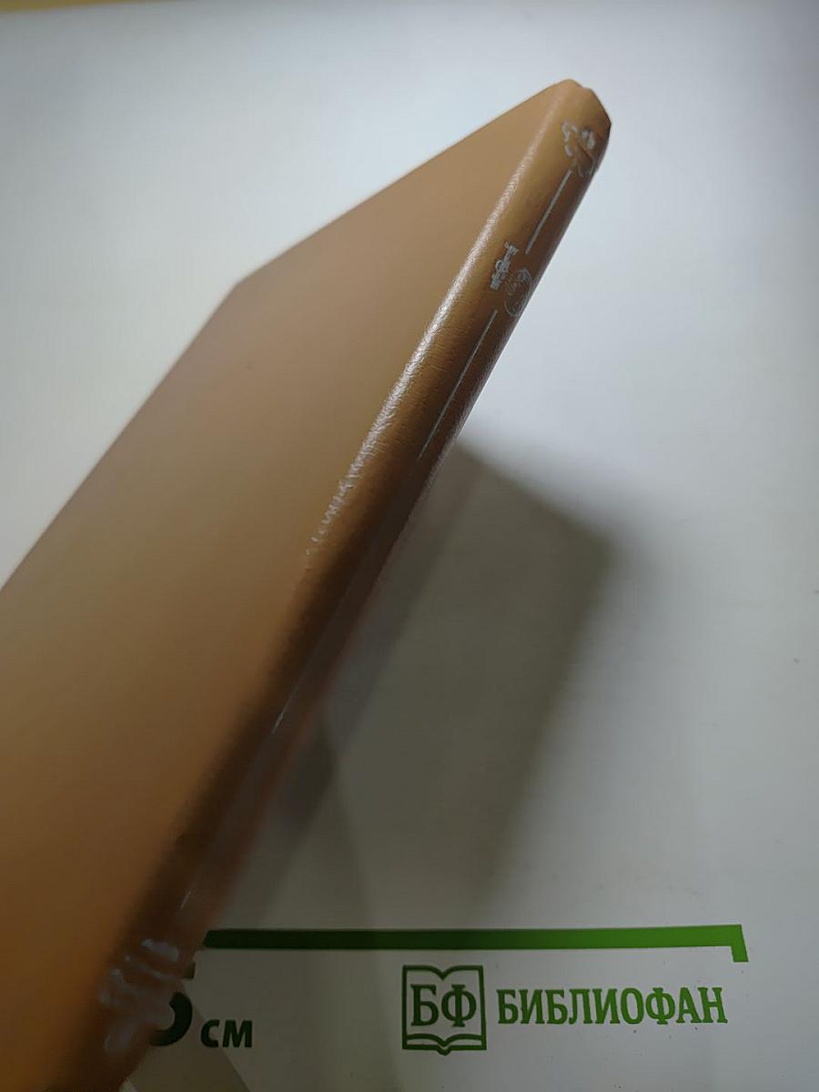 Свидание в Петербурге, или Опять гардемарины