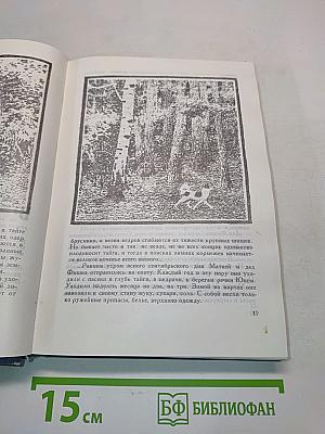 Строговы