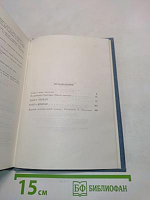Строговы