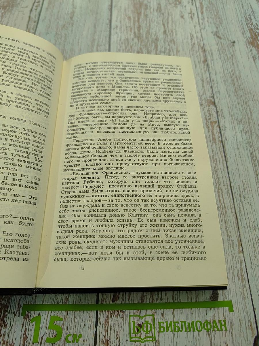 Гойя, или Тяжкий путь познания. Том пятый