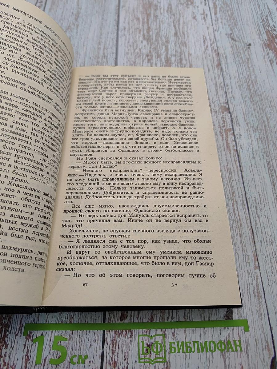 Гойя, или Тяжкий путь познания. Том пятый