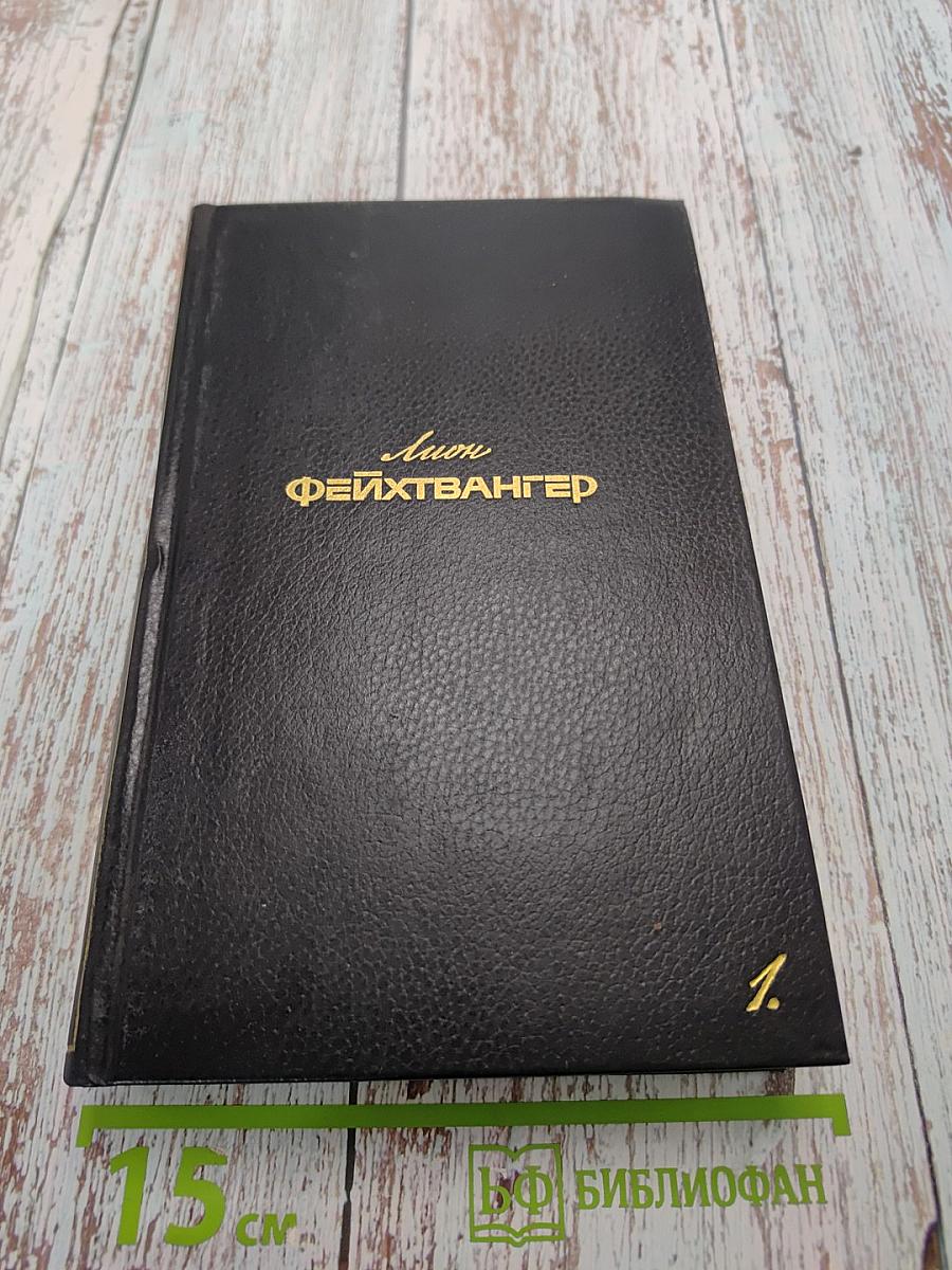 Собрание сочинений в 6-ти томах. Том первый. Успех. Роман