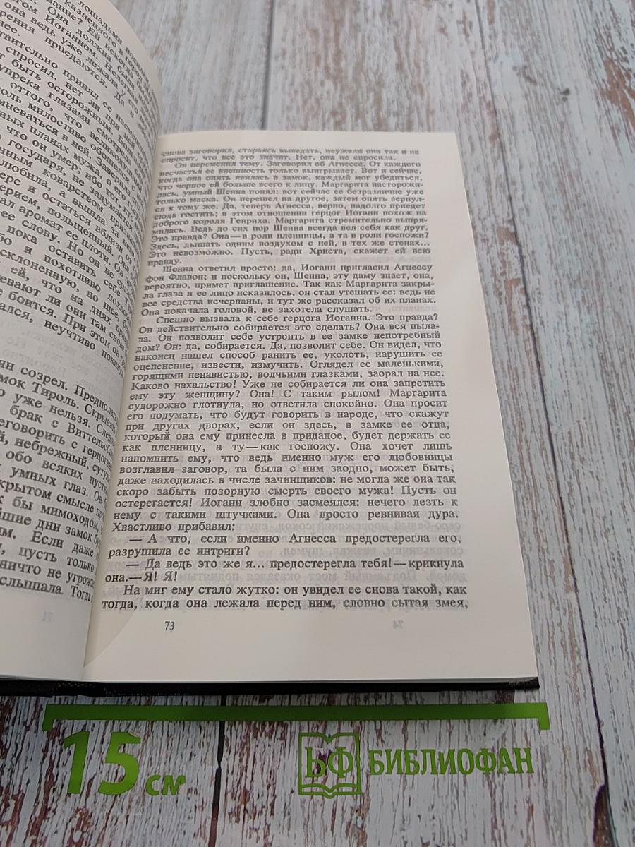Собрание сочинений в 4 томах. Том третий. Безобразная герцогиня Маргорита Маульташ. Еврей Зюсс