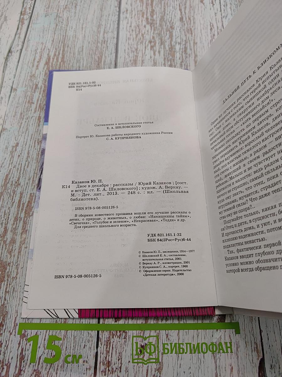 Двое в декабре