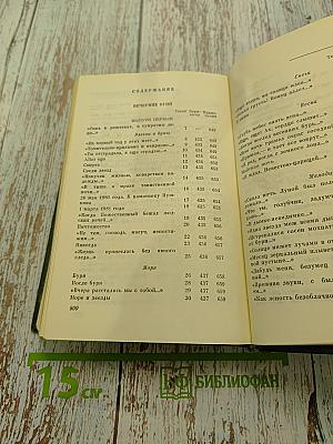 Вечерние огни