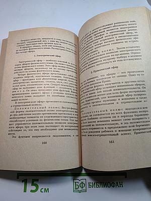АУМ №2. Синтез мистических учений Запада и Востока