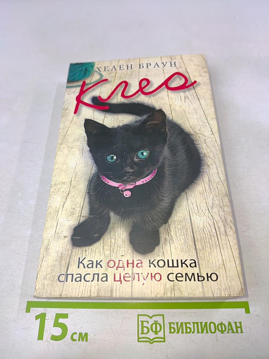 Клео. Как одна кошка спасла целую семью