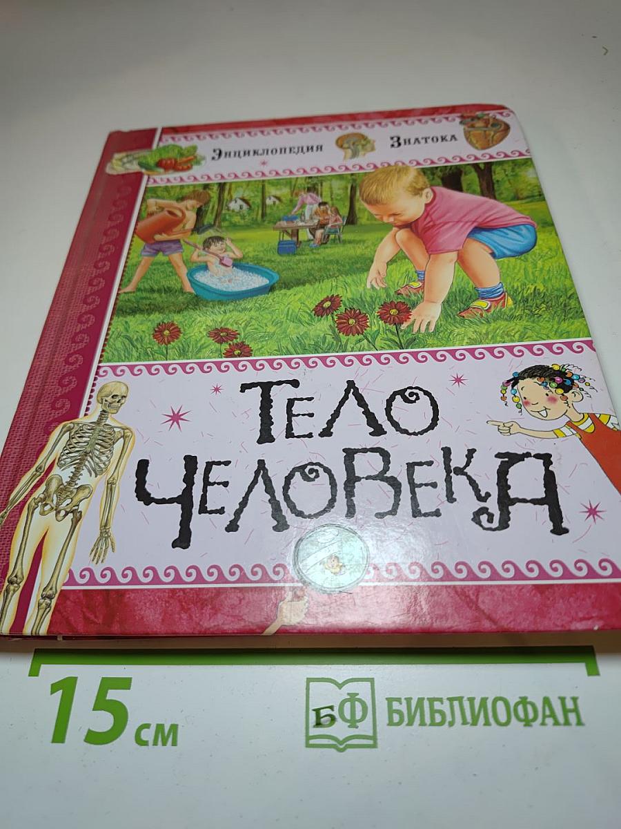 Тело человека