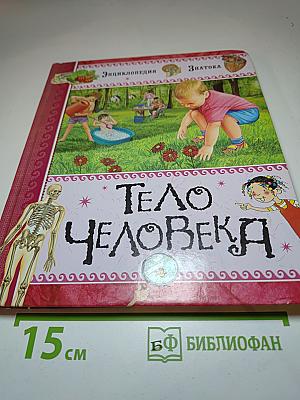Тело человека