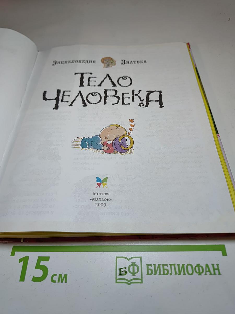 Тело человека