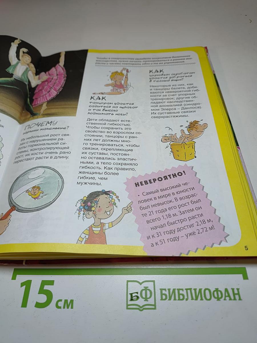 Тело человека