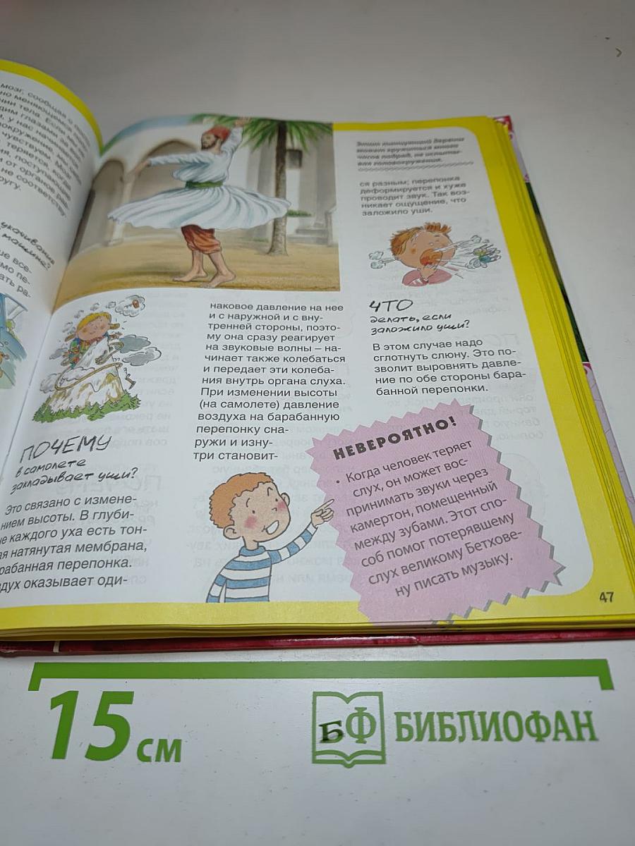 Тело человека