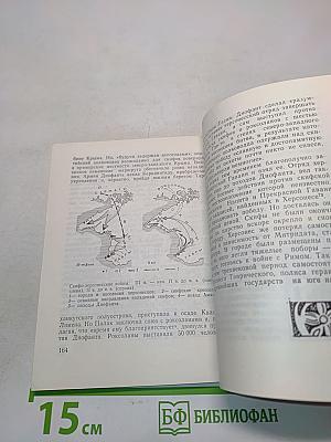 Полис и хора