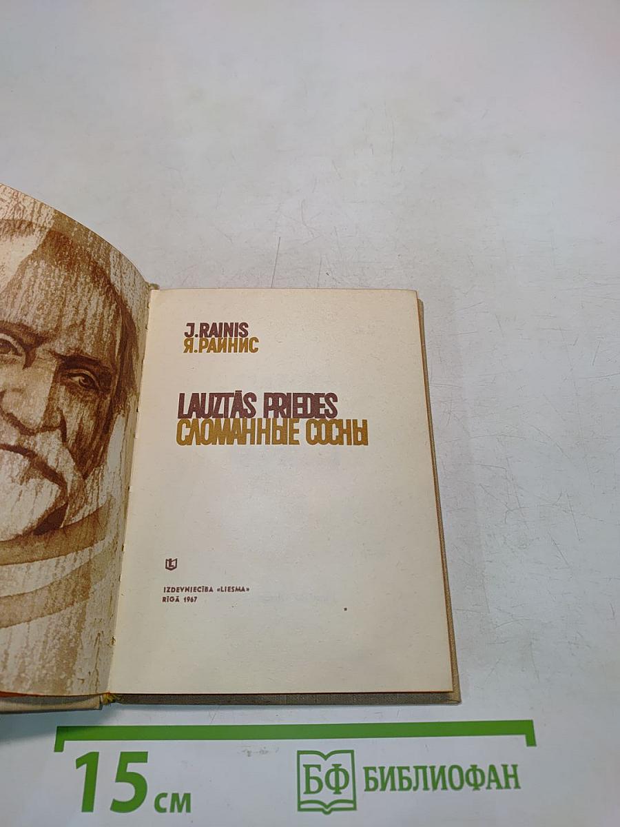 Lauztās priedes. Сломанные сосны