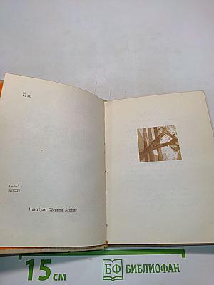 Lauztās priedes. Сломанные сосны