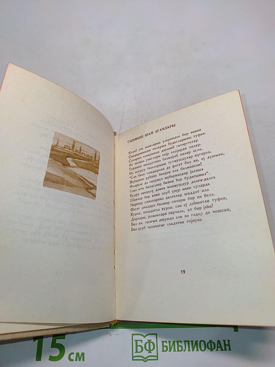 Lauztās priedes. Сломанные сосны
