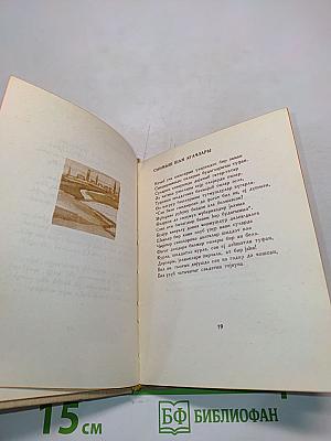 Lauztās priedes. Сломанные сосны