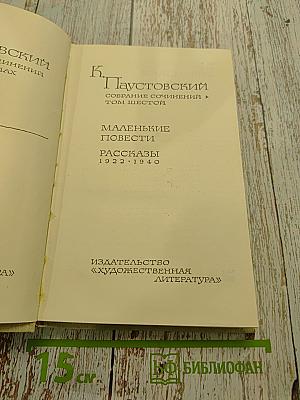 Маленькие повести. Рассказы. Собрание сочинений. Том шестой