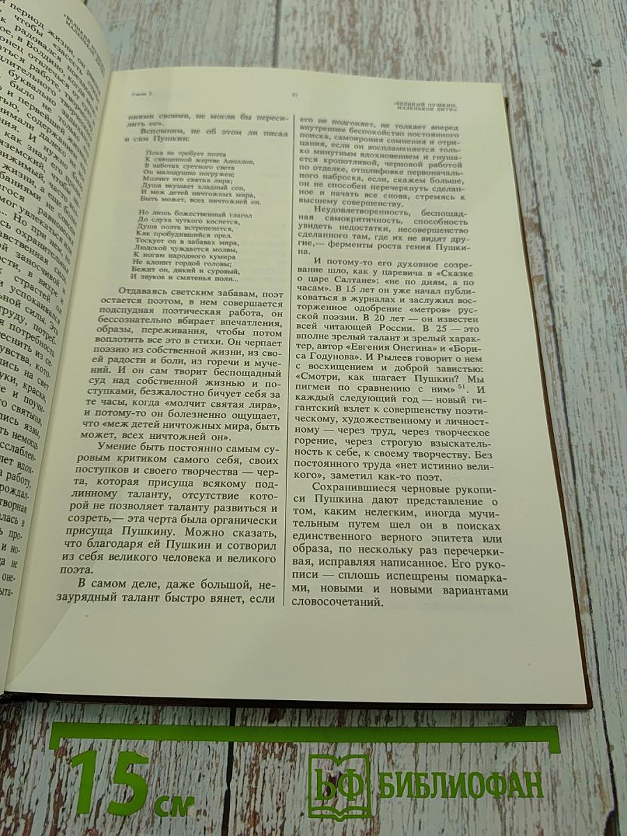 Мир Пушкина. Личность, мировоззрение, окружение