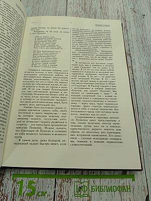 Мир Пушкина. Личность, мировоззрение, окружение