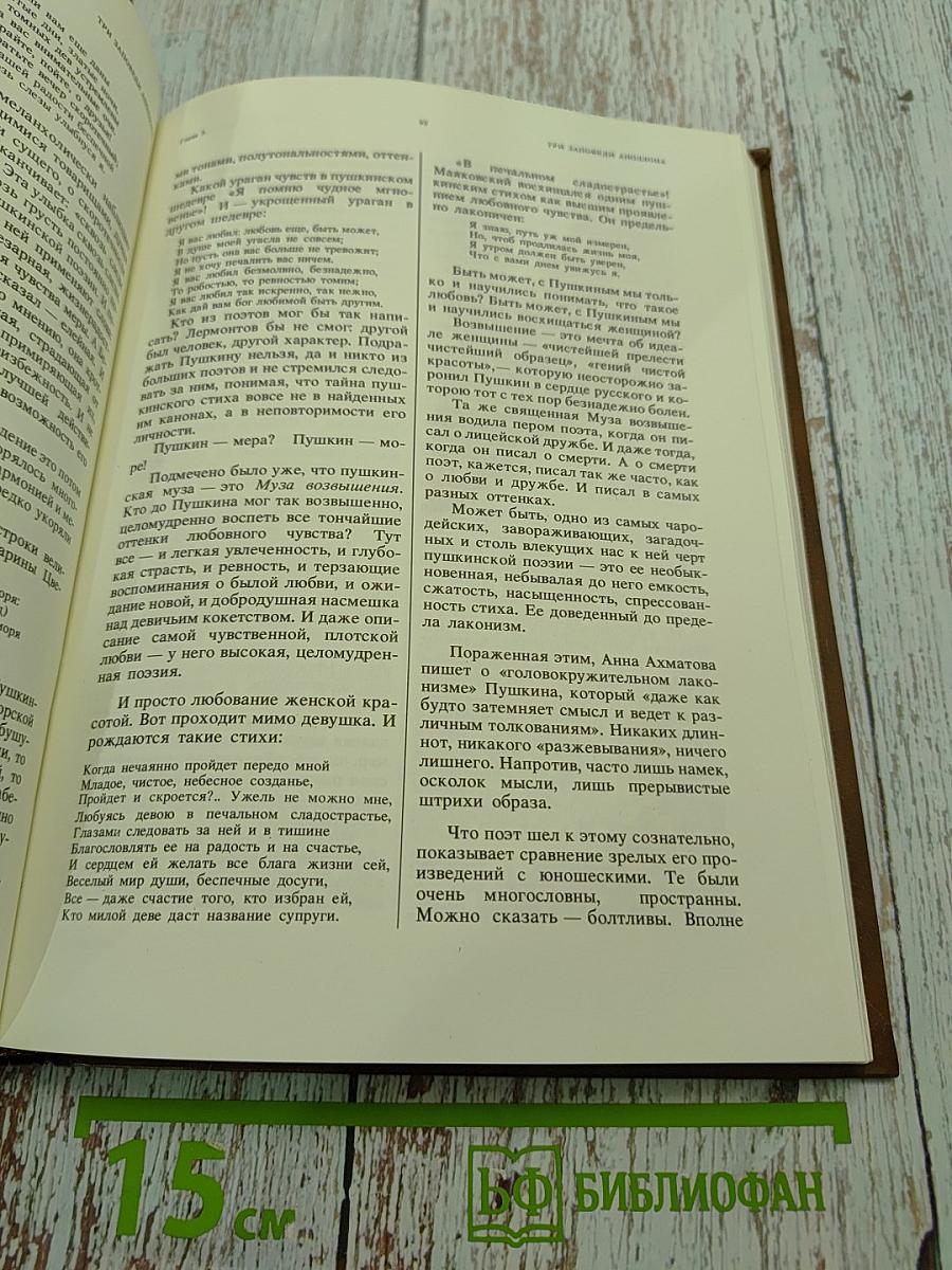 Мир Пушкина. Личность, мировоззрение, окружение