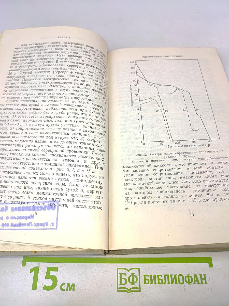 Перспирация у человека