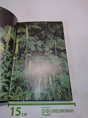 Лекарственные растения СССР. Культивируемые и дикорастущие растения. Фотоальбом