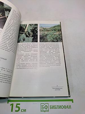Лекарственные растения СССР. Культивируемые и дикорастущие растения. Фотоальбом