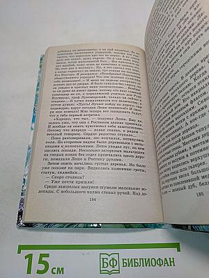 «Чоки-чок», или Рыцарь Прозрачного Кота