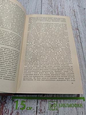 История русской литературы XIX века (70-90-е годы)