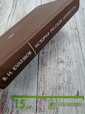 История русской литературы XIX века (70-90-е годы)