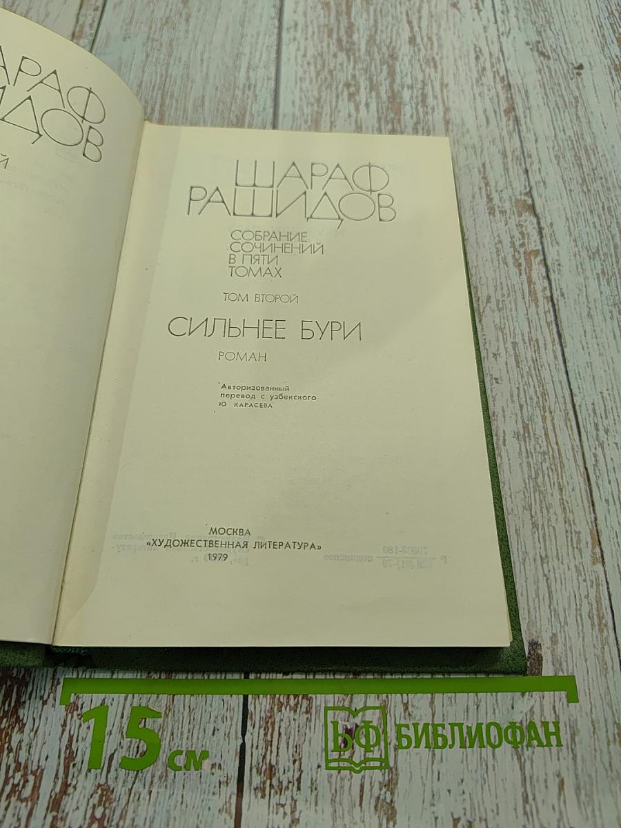Сильные бури. Том второй