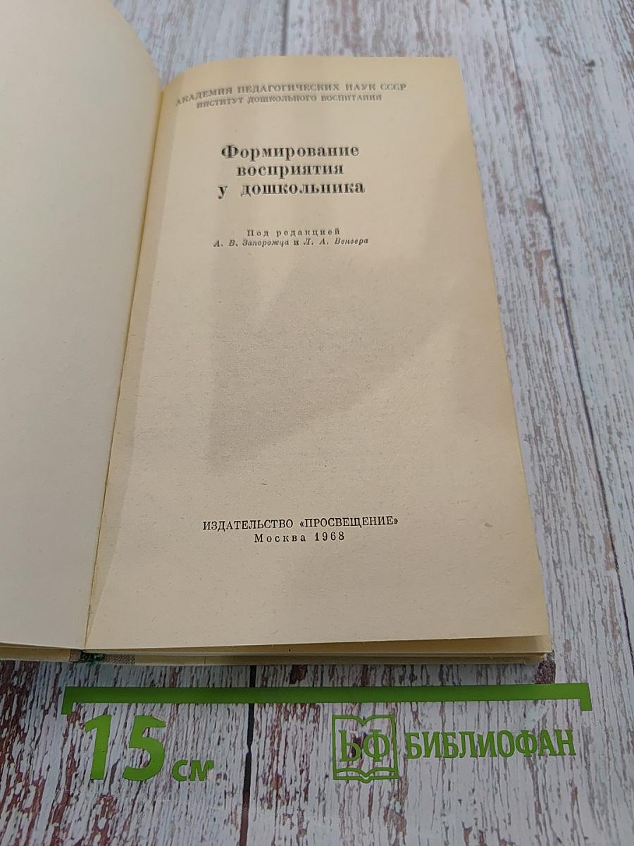 Формирование восприятия у дошкольника