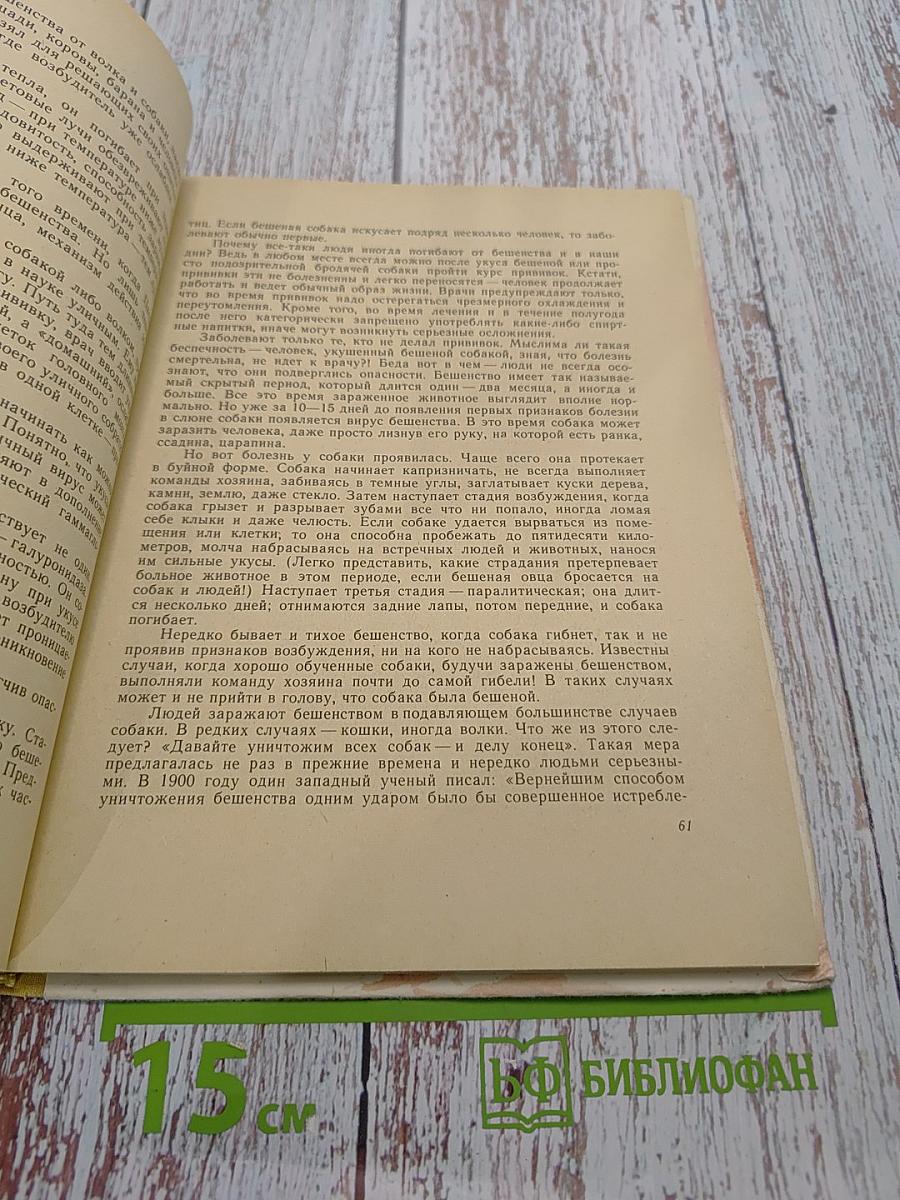 Некто или нечто?