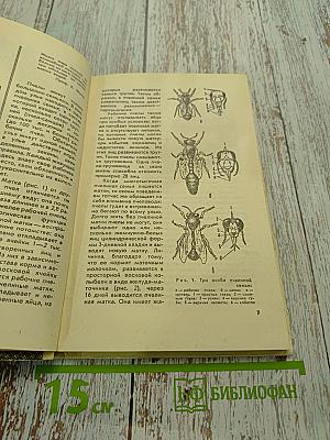 Продукты пчеловодства и их использование