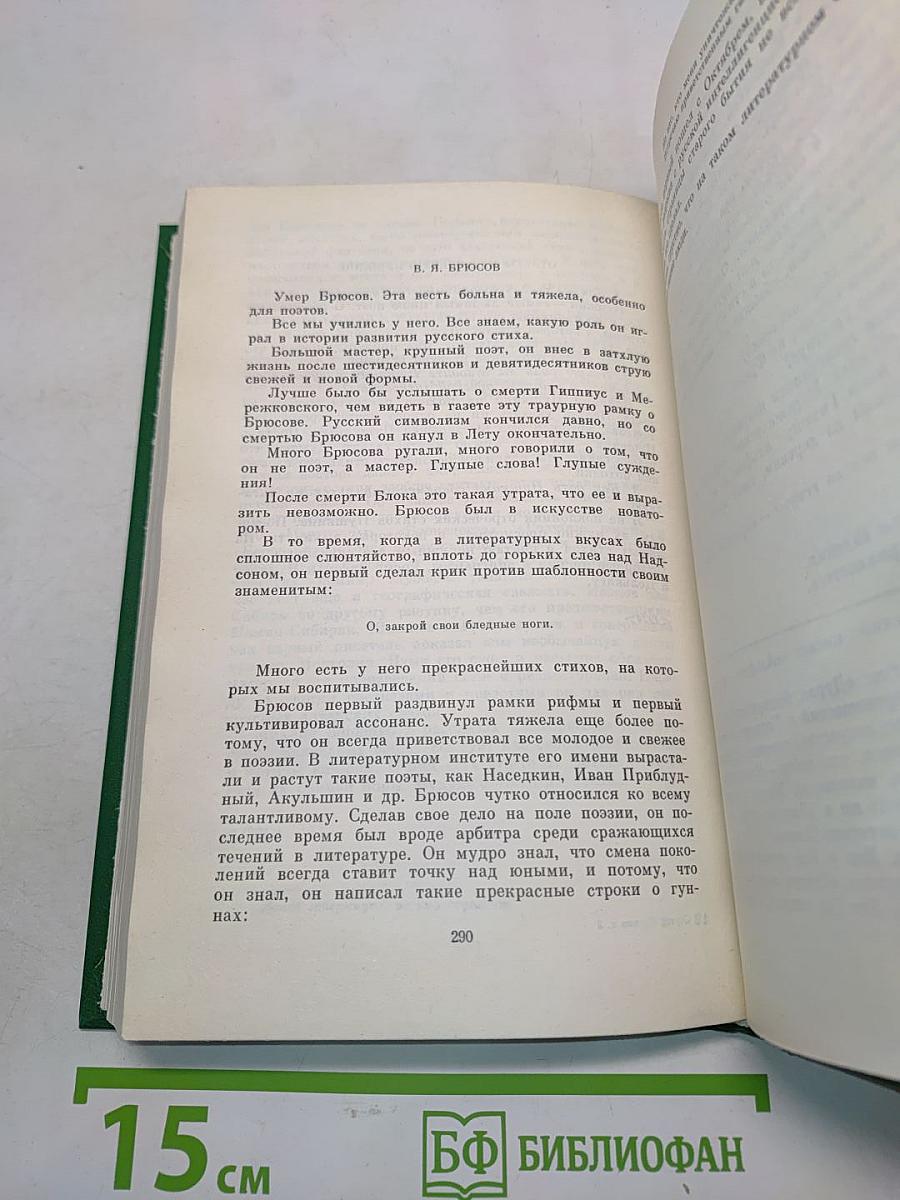 Сергей Есенин. Собрание сочинений в двух томах. Том 2. Стихотворения. Проза. Статьи. Письма