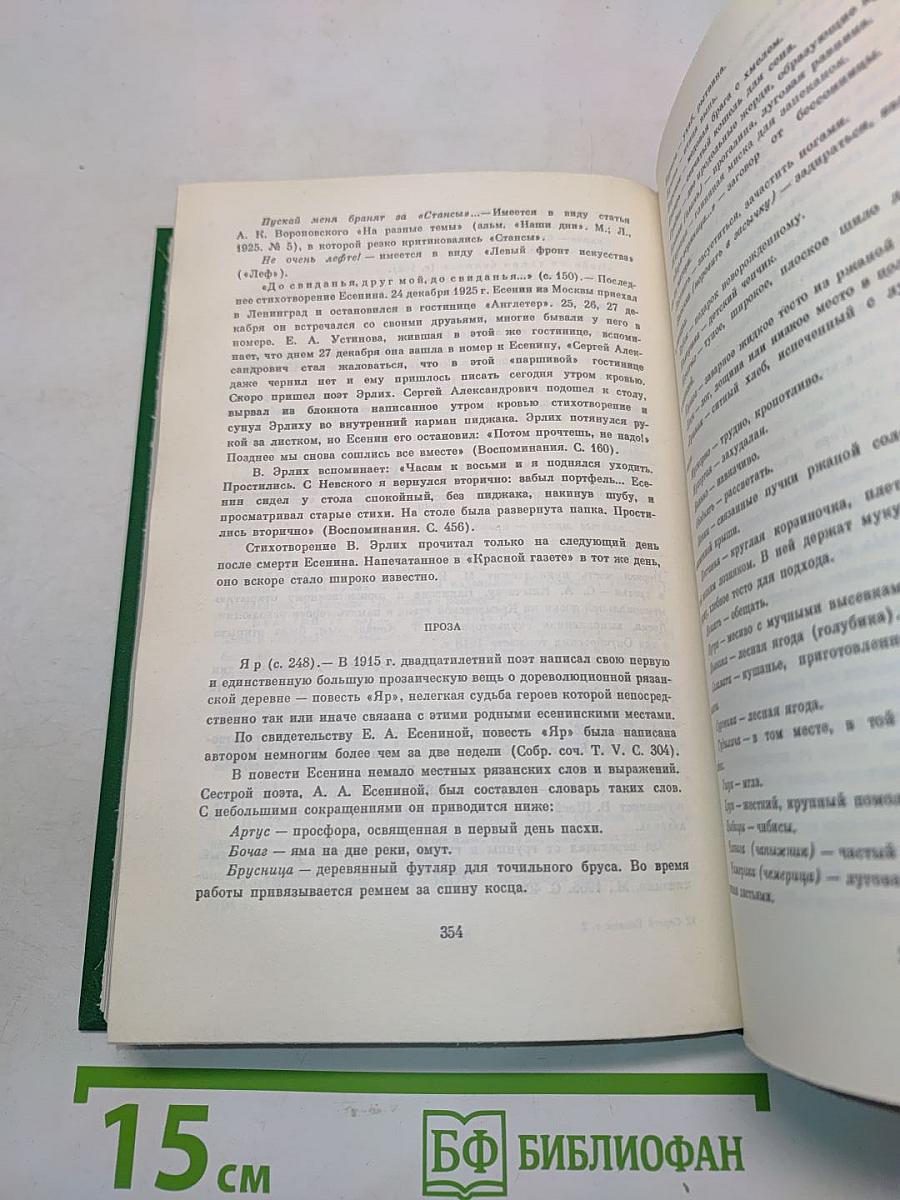 Сергей Есенин. Собрание сочинений в двух томах. Том 2. Стихотворения. Проза. Статьи. Письма
