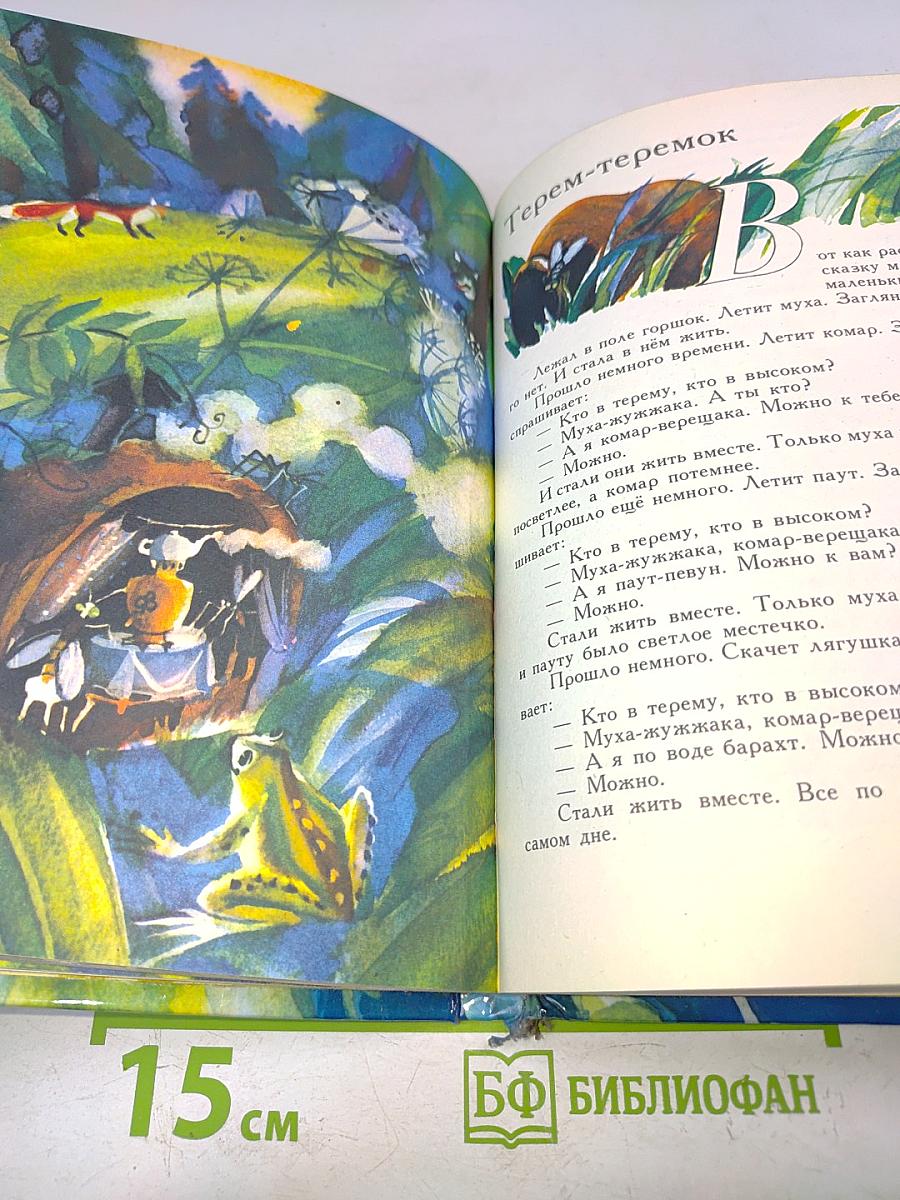 Необыкновенная ромашка