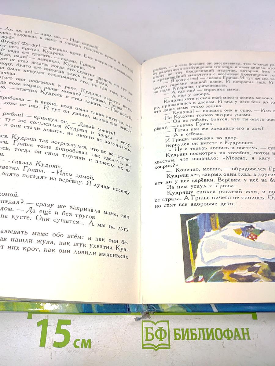 Необыкновенная ромашка